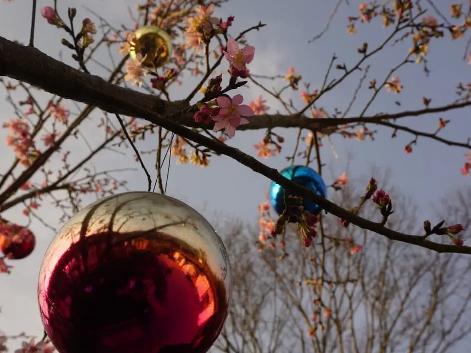 最新消息 - 密式旅行住宿選擇